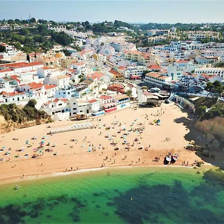 Quinta A Palmeira Grande Villa